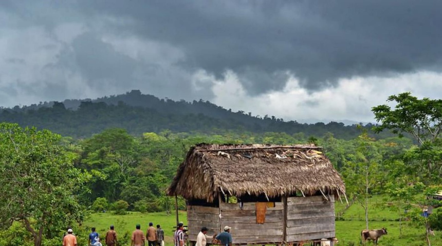 colonos tierras indigenas