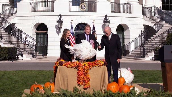 biden indultando pavos