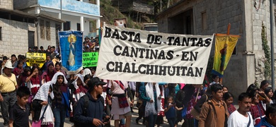 indigenas protestan inseguridad mexico