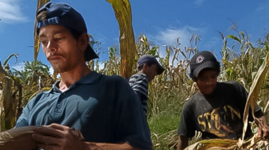 mano de obra migrante nicaraguense costa rica