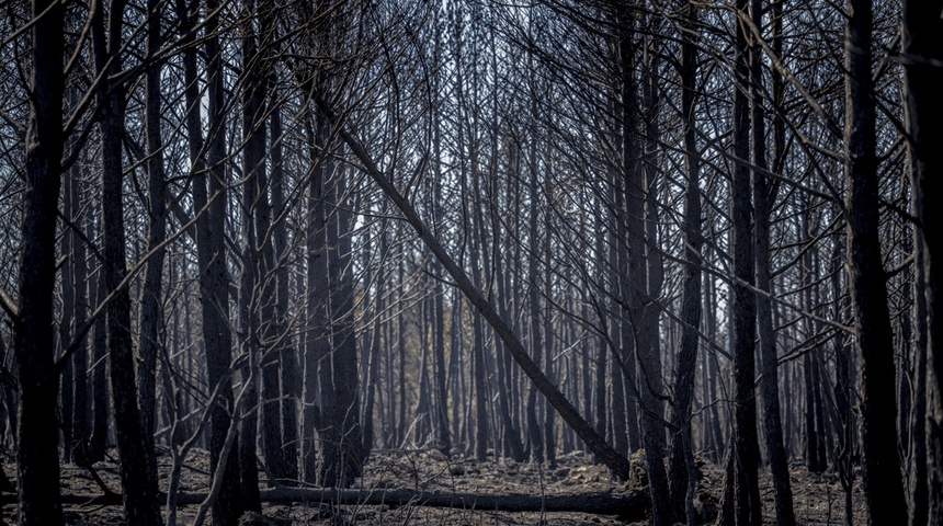 incendio forestales en españa