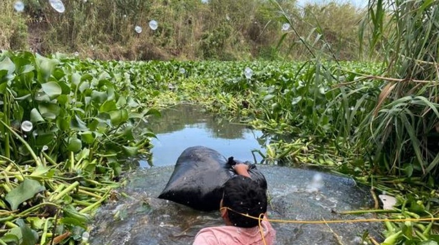 salvan vida migrante nicaraguense piedras negras