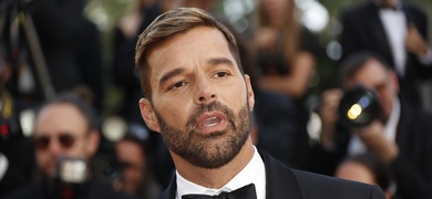 ricky martin cantante