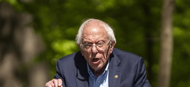 bernie sander opina biden