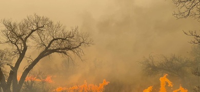 incendio forestal texas