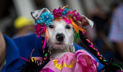 celebracion san lazaro nicaragua