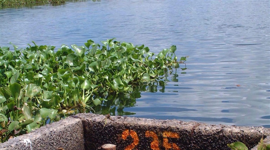 embalse cerron grande el salvador contaminacion