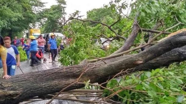 arboles caidos lluvia nicaragua el cua jinotega