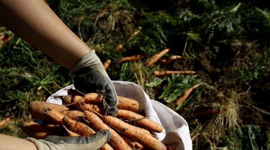 programa para trabajadores agricolas de nicaragua