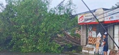 alerta en masaya por arboles derribados