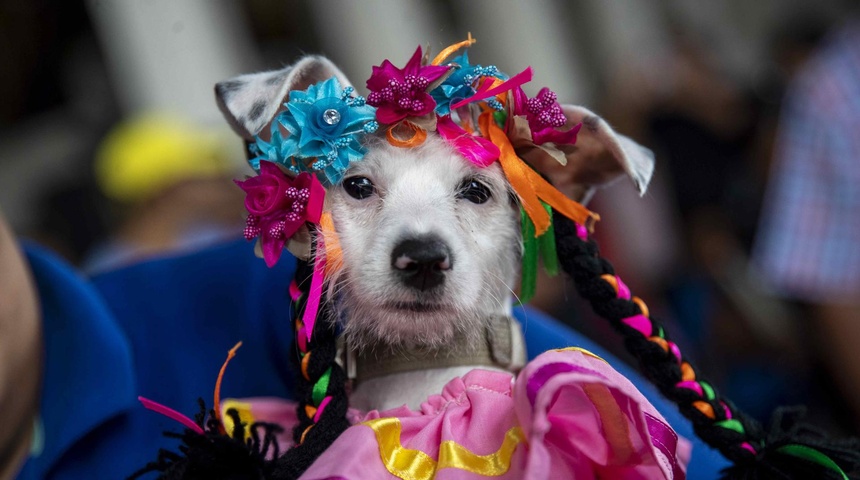 celebracion san lazaro nicaragua