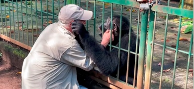 Eduardo Sacasa se despide del chimpancé "Pipo"