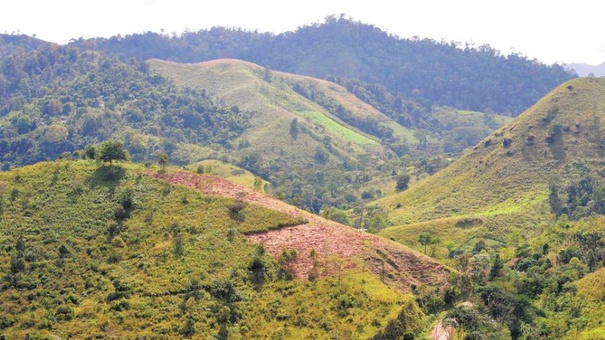 deforestacion acelerada en nicaragua