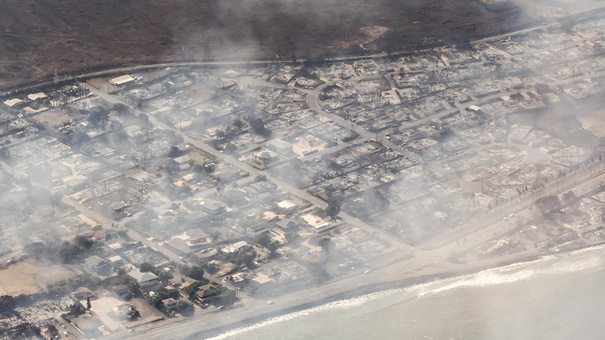 consecuencia incendio forestal hawaii