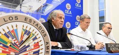 luis almagro logo oea