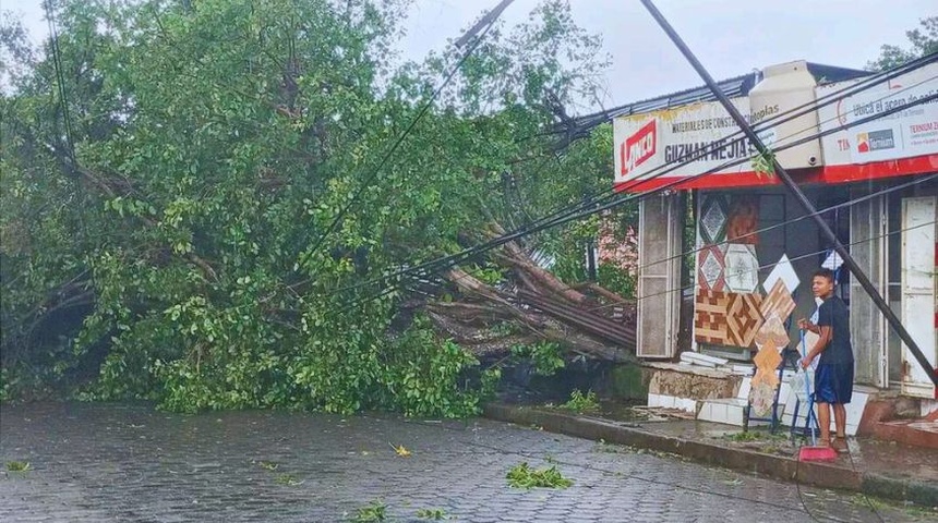 alerta en masaya por arboles derribados