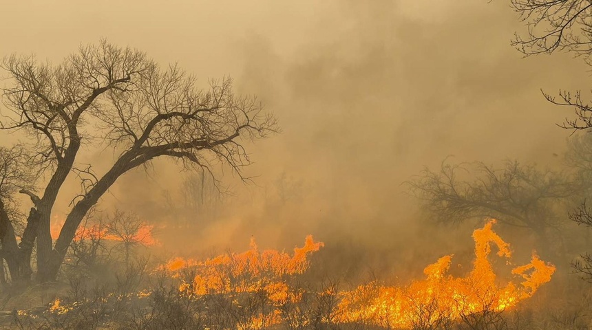 incendio forestal texas