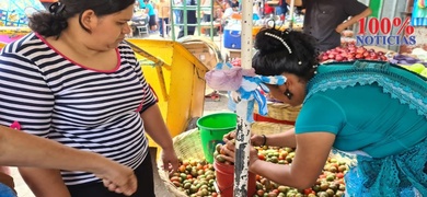 comerciantes frutas almibar mercado oriental