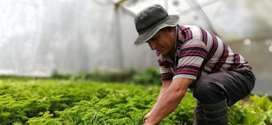 agricultor en costa rica