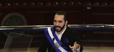 nayib bukele jauria periodistas suelto previo elecciones