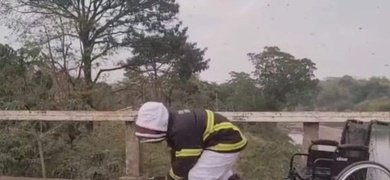 bombero salva discapacitado atacado abejas mulukuku