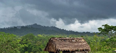 colonos tierras indigenas