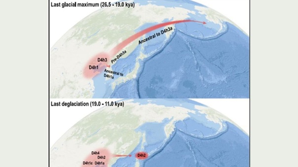 migraciones en la edad de hielo