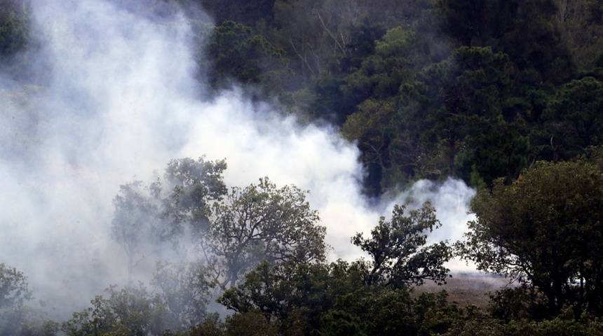 campana preventiva incendios forestales honduras