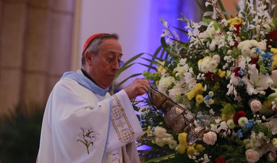 cardenal honduras lamenta sentencia contra monsenor rolando