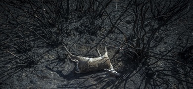 espana catastrofes naturales crisis climatica