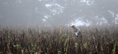 consecuencias el nino nicaragua latinoamerica