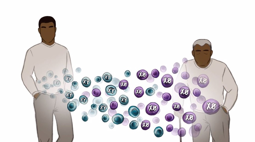 A medida que envejecen, los hombres pierden progresivamente su cromosoma, y eso podría estar pasando factura a su salud, según un estudio publicado en la revista Science.