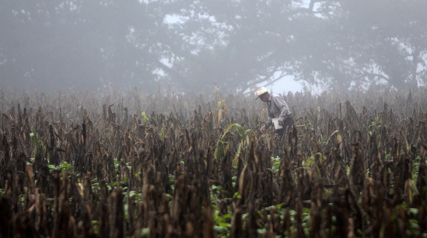 consecuencias el nino nicaragua latinoamerica