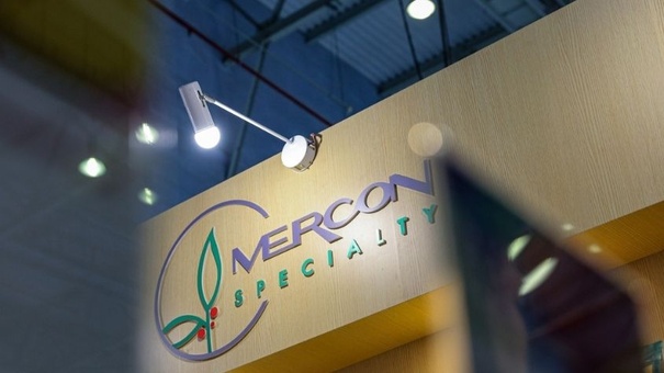 mercon coffee group quiebra