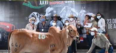 feria ganadera managua sustituye expica