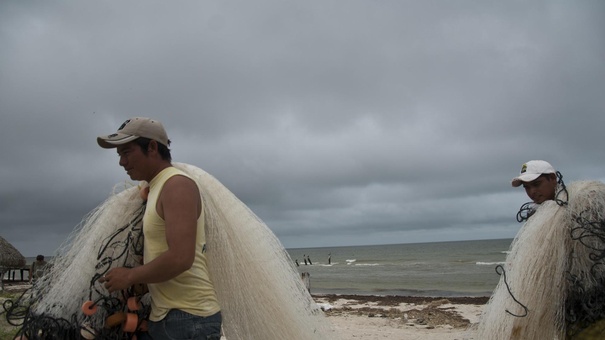 tormenta idalia peninsula yucatan