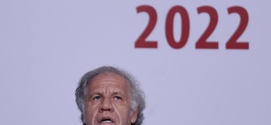 luis almagro oea investigacion supuesta relacion