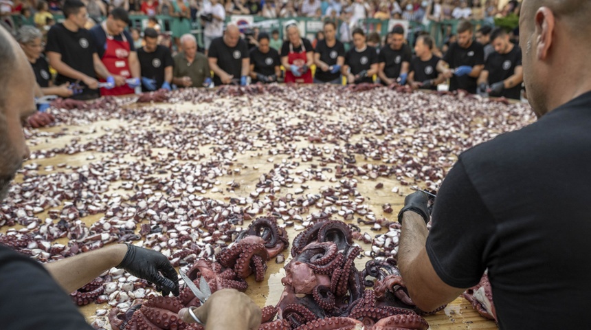 tapas de pulpo españa