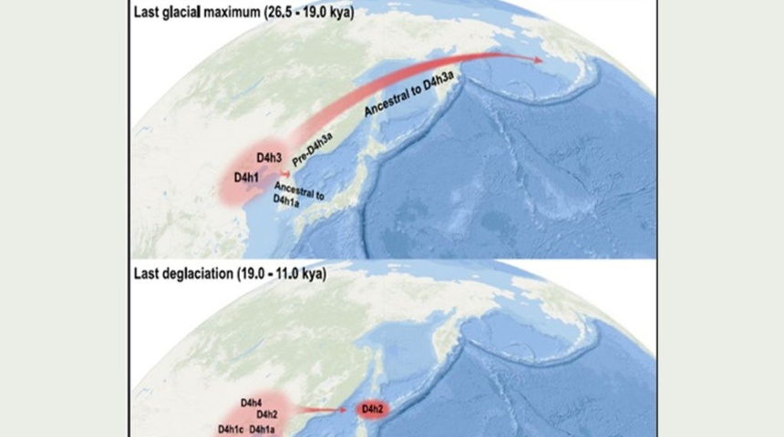 migraciones en la edad de hielo