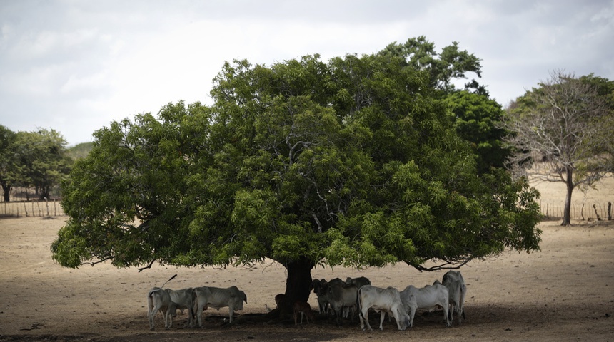 fenomeno el nino centroamerca