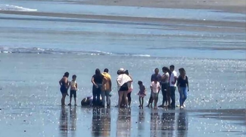 dos personas perecieron ahogadas en corinto y paso caballos