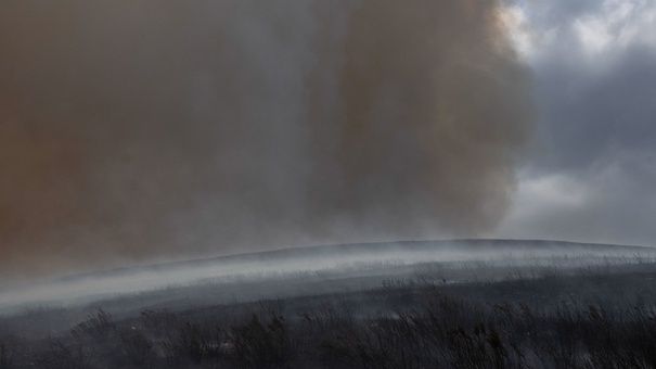 incendio forestales en españa