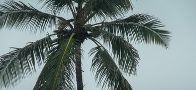 cuarta tormenta tropical atlantico