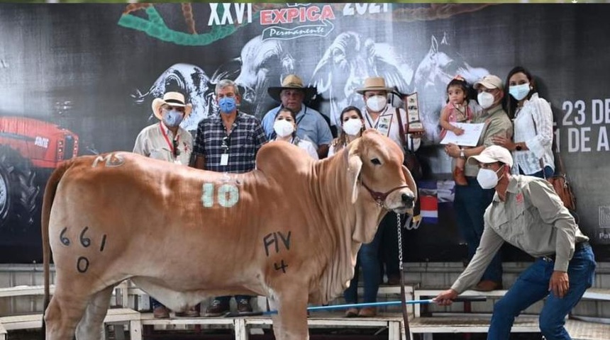 feria ganadera managua sustituye expica