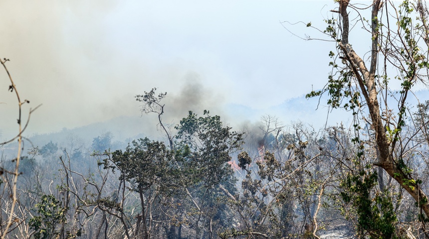 incendios forestales acapulco mexico