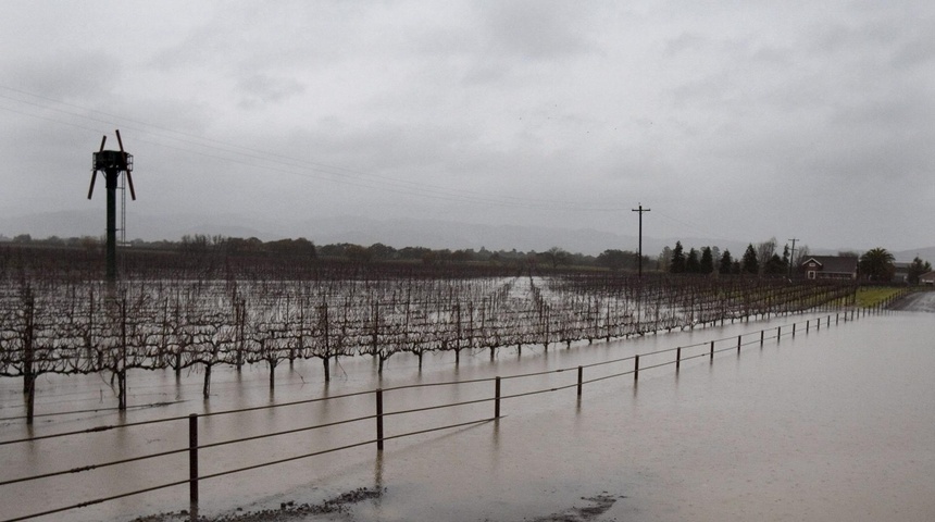 inundación de viñedos california