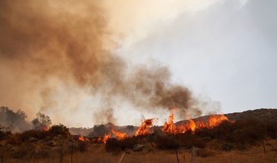 muertos altas temperaturas calor eeuu