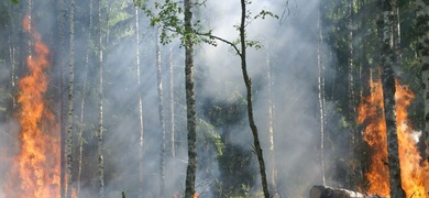 incendio bosawas nicaragua