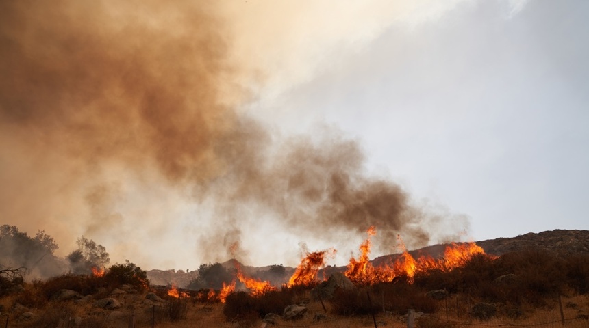 muertos altas temperaturas calor eeuu