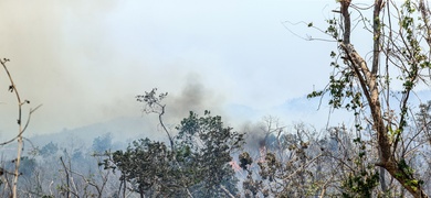 incendios forestales acapulco mexico